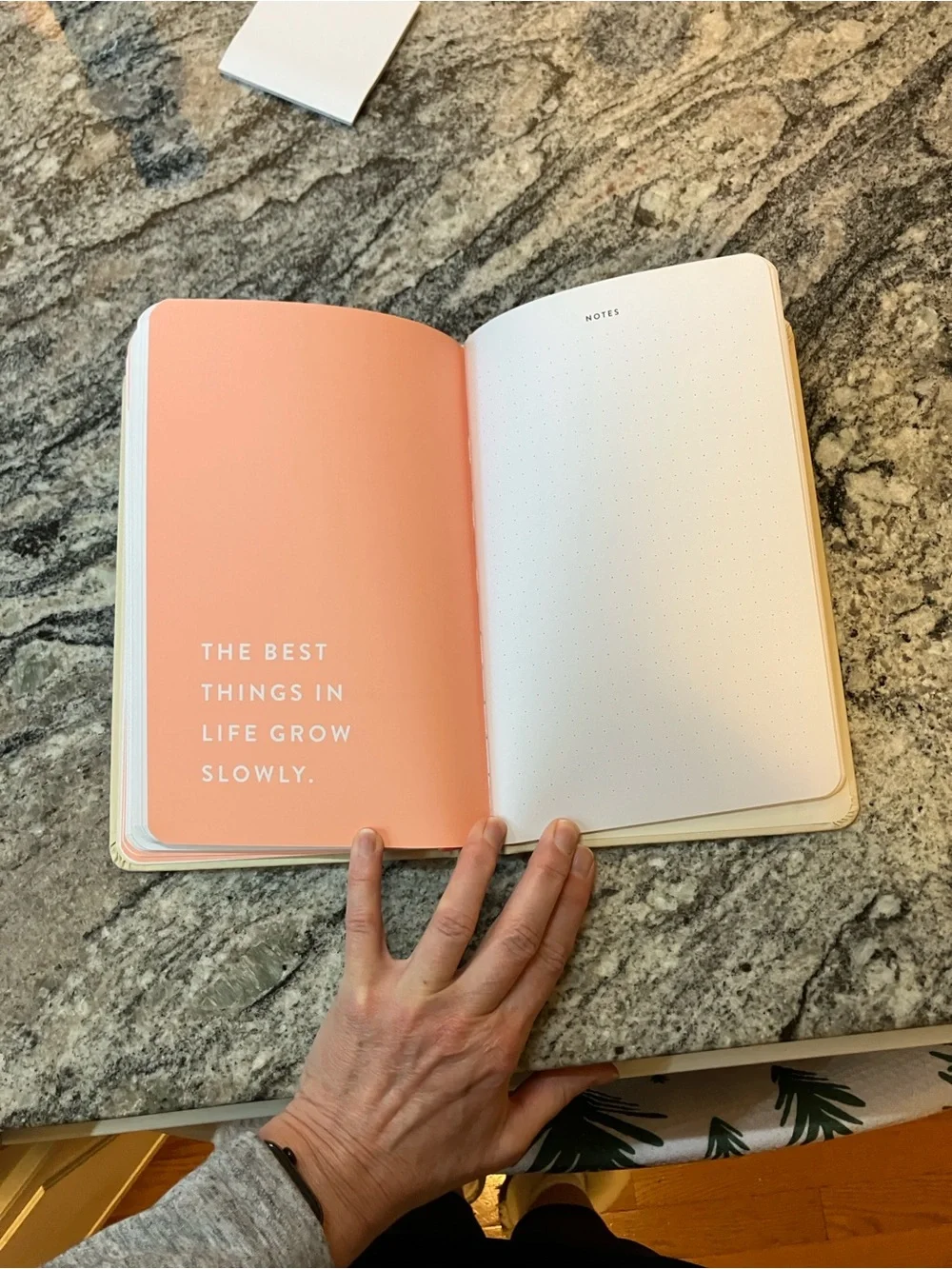 90-Day Powersheets Goal Planner - Natural Linen color + Goal Sticker Book